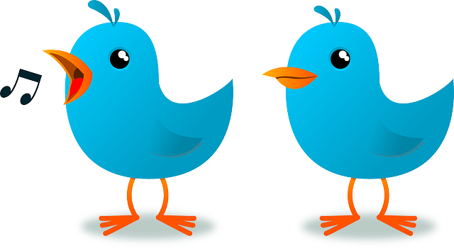 Birds "Tweeting"