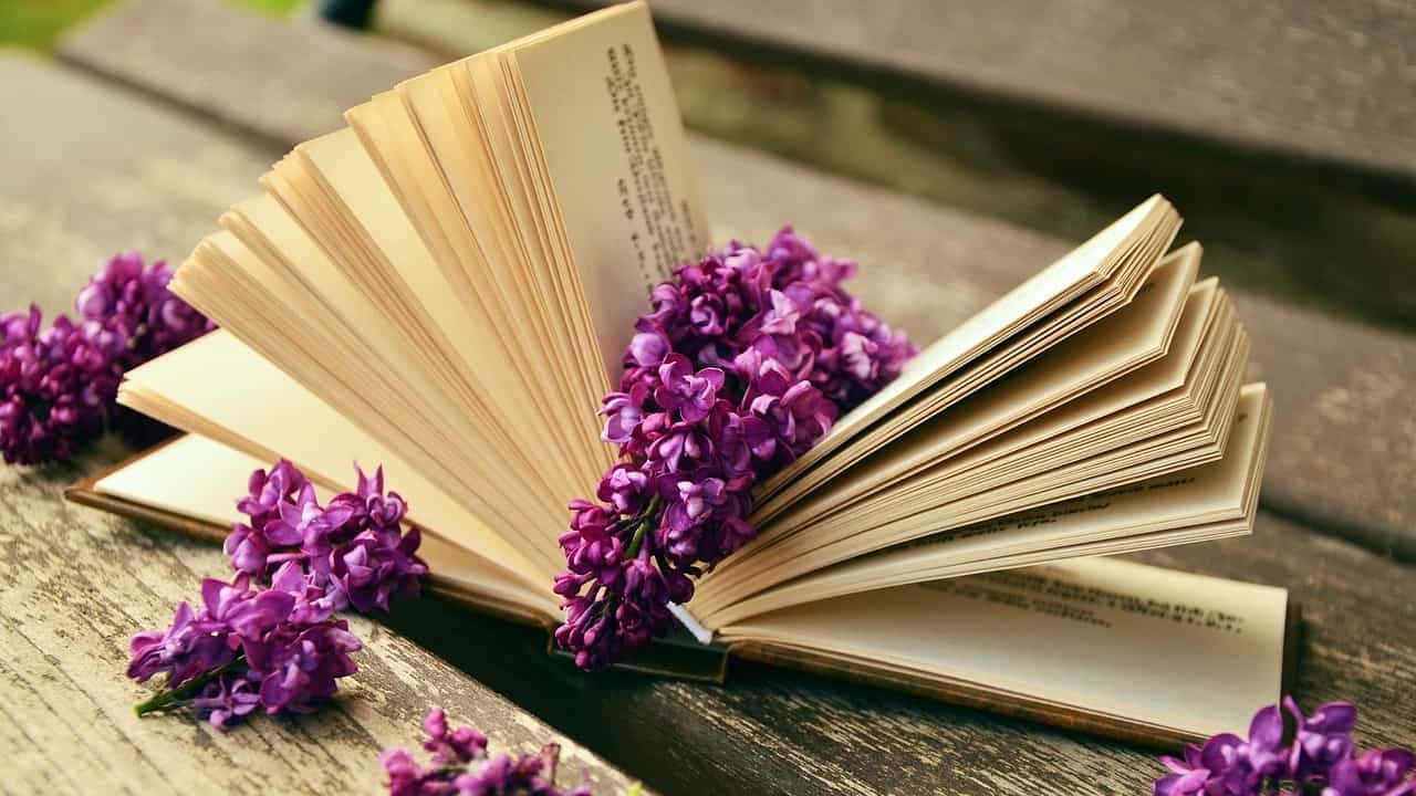 Book with flowers to illustrate an article about transforming your content marketing.