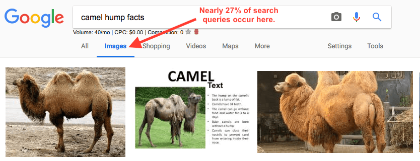 Screenshot of Google Image search results.