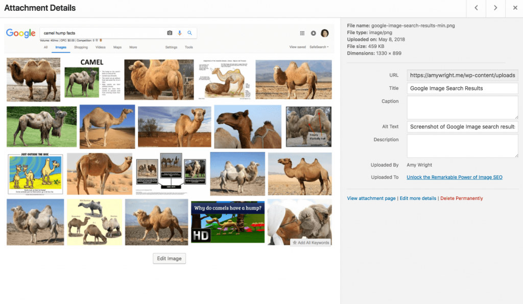 Screenshot of image SEO elements in WordPress.