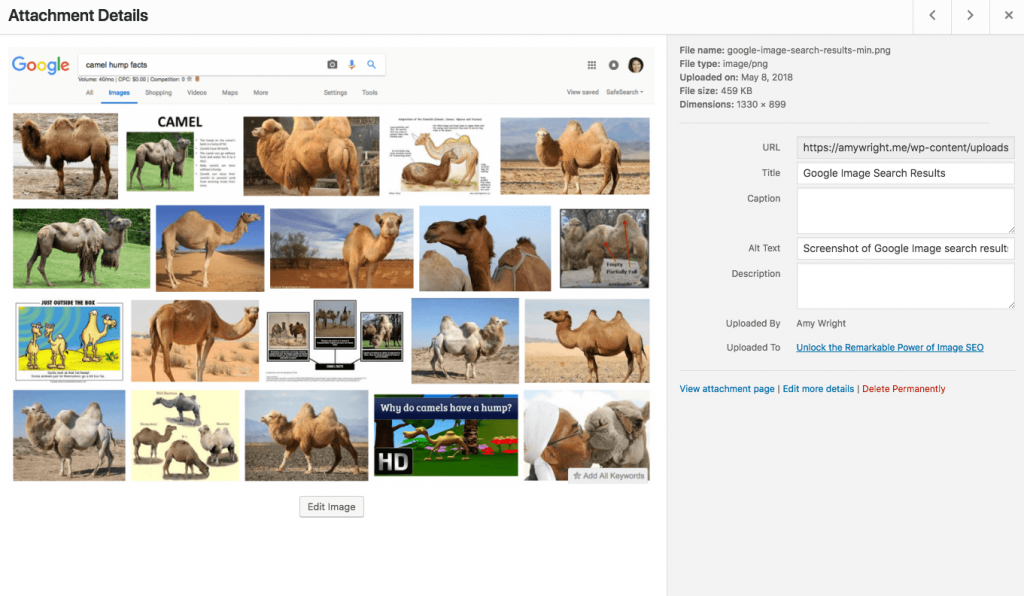 Screenshot of image SEO elements in Wordpress.