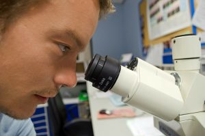 Man using microscope to represent content audit.