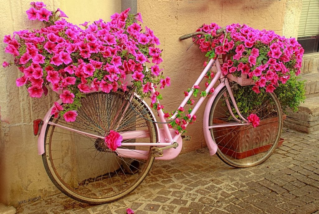 Bike repurposed as a planter to represent repurposing content.