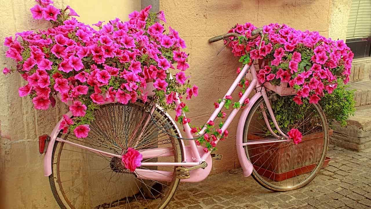 Bike repurposed as a planter to represent repurposing content.