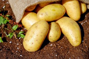 Image of potatoes.